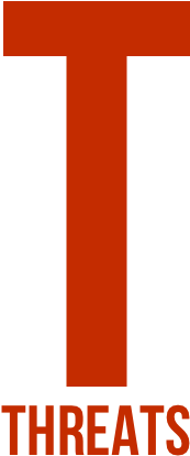 Competition Monster Represents The Biggest Threat As - Swot T (340x447), Png Download