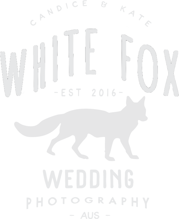 Fox Shine Png (1000x884), Png Download
