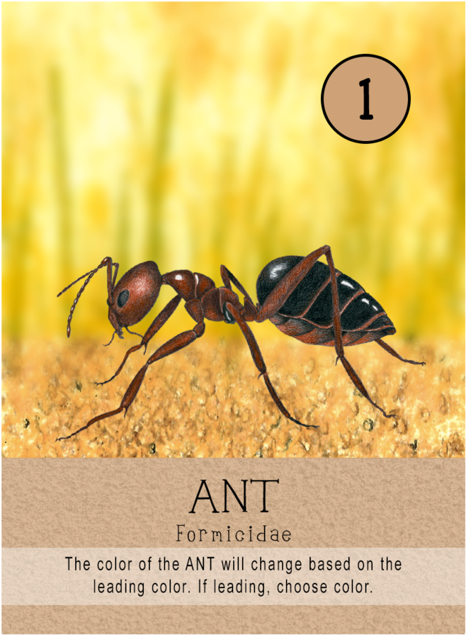Ants (1000x1000), Png Download
