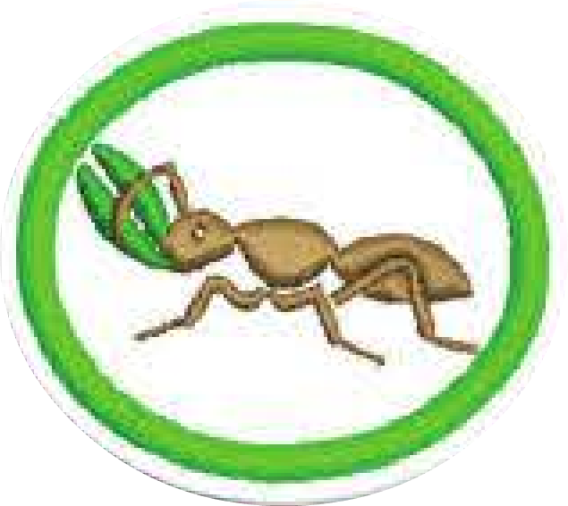 23, 30 September 2014 - Ant (635x566), Png Download