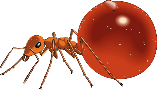 Ants Clipart Transparent - Honey Pot Ant Clip Art (500x288), Png Download