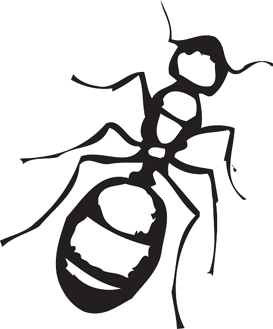 Ant Clipart Black And White (532x640), Png Download