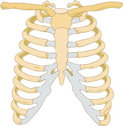 Thunderbolt Kids Graphic Royalty Free Stock - Costochondritis Back Pain (494x464), Png Download