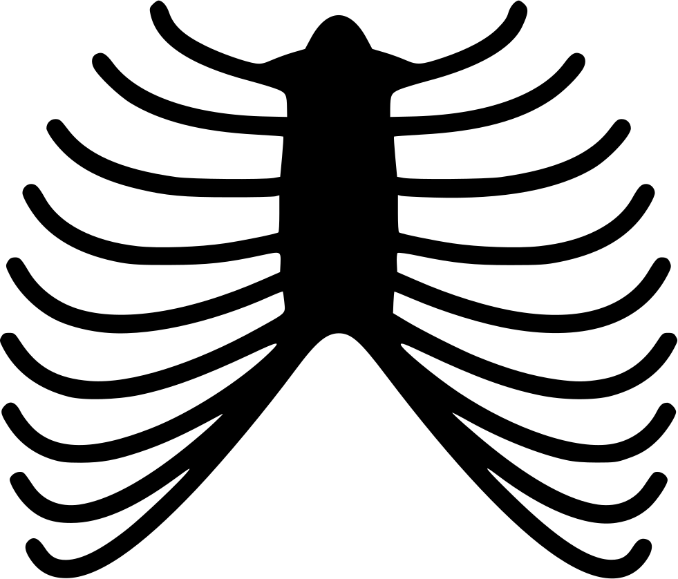 Png File - Skeleton Rib Png (981x838), Png Download