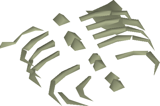 Small Fossilised Ribs Detail - Wiki (521x346), Png Download