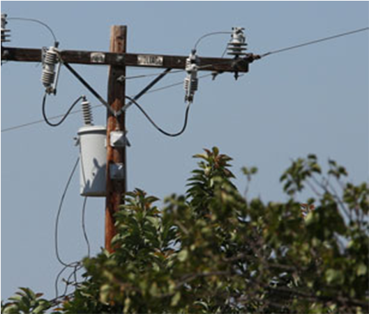 Construction Of Power - Tree (800x450), Png Download