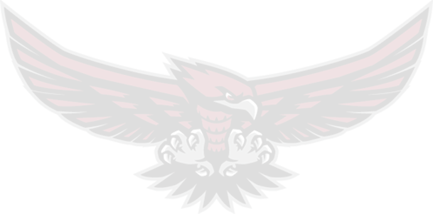 Soaring Toward Deliberate Success In Academics, The - Bald Eagle (609x302), Png Download