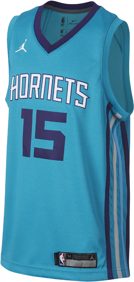 Camiseta hornets jordan online