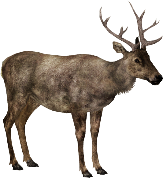 Elk - Elk Png (649x649), Png Download