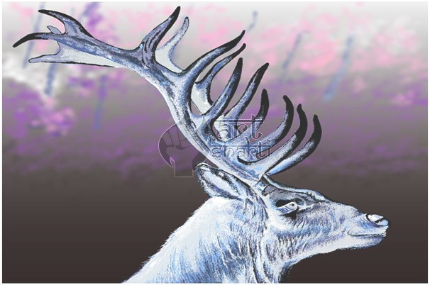 Elk Painting Inverted - Elk (606x402), Png Download