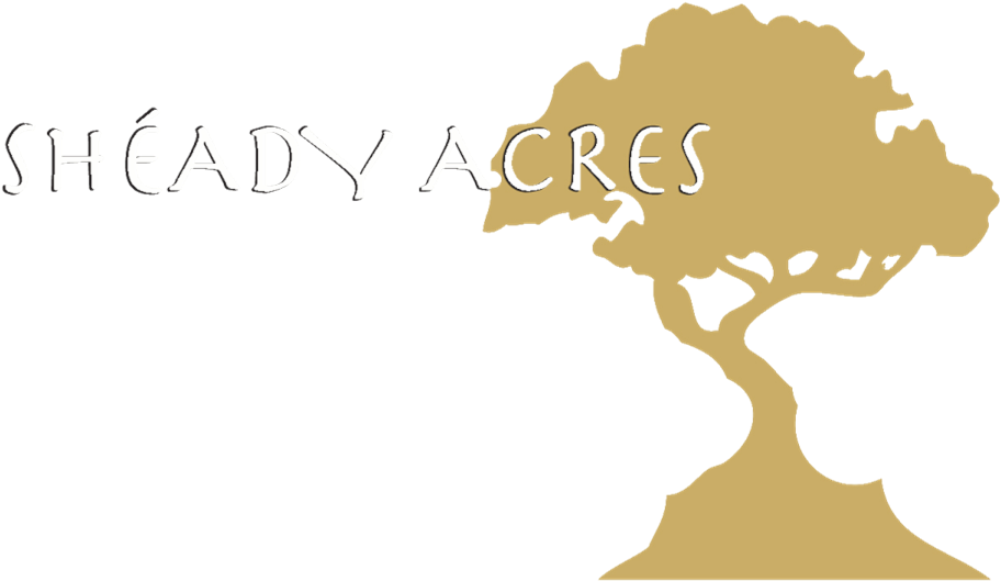 Sheady Acres (946x554), Png Download