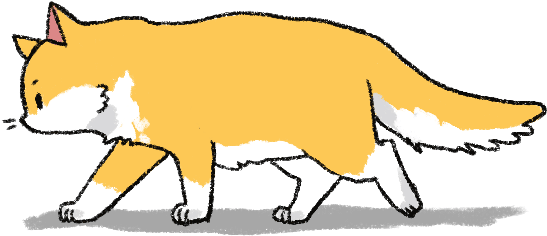 Mustardchan - Cat Walking Animated Gif (623x364), Png Download