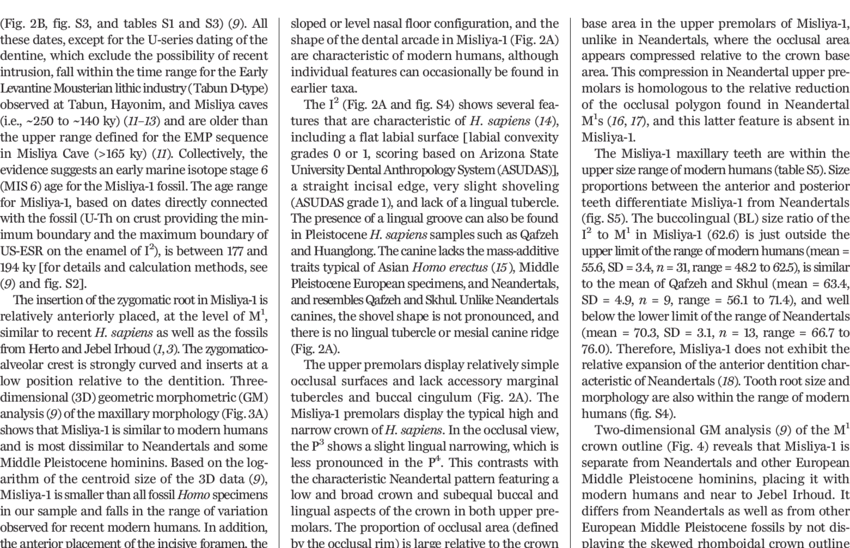 Various Views Of The Misliya-1 Hemimaxilla And Overview - Document (850x548), Png Download