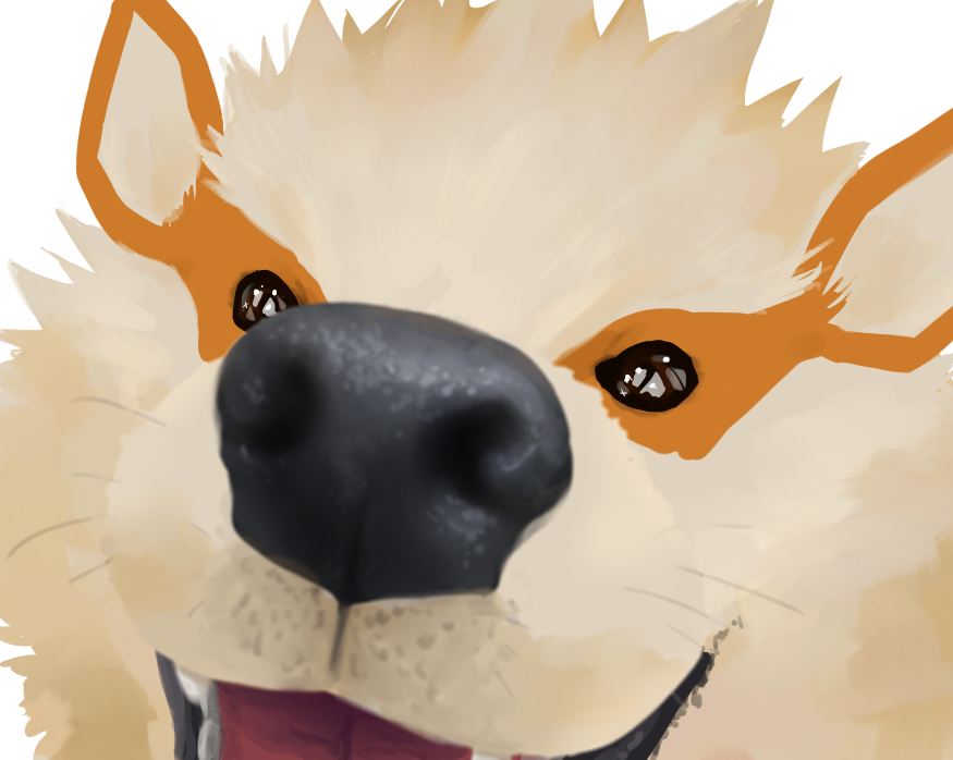 Close Up - Portable Network Graphics (875x698), Png Download