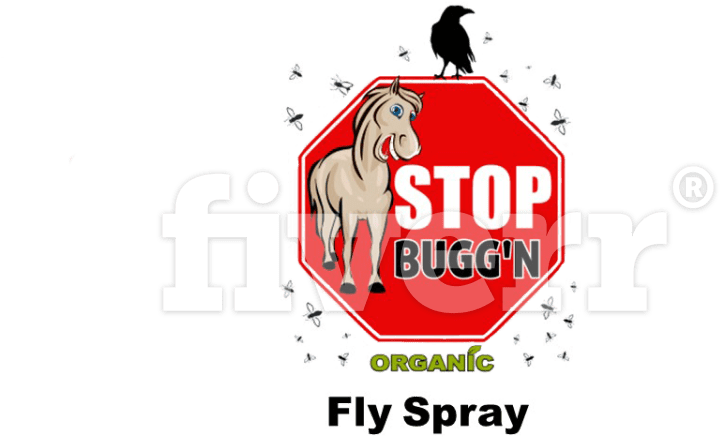 Image Fiverr - Portable Network Graphics (1200x675), Png Download