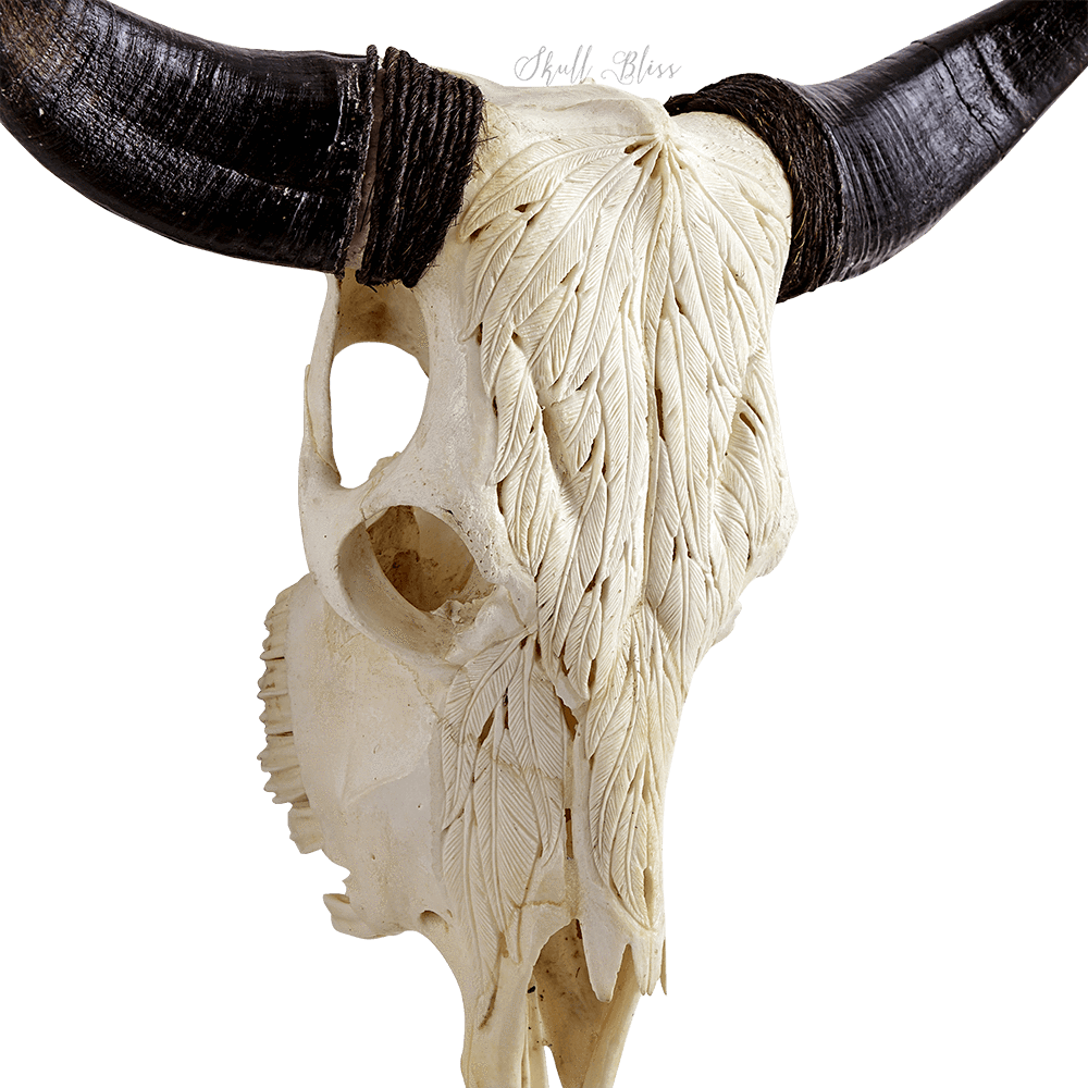 Real Skull Png For Kids - Skull (1000x1000), Png Download