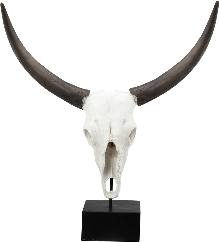 Peralta Decorative Resin Cow Skull - Trent Austin Design Decorative Resin Cow Skull (800x800), Png Download