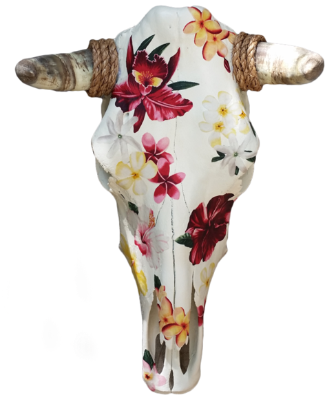 Please Log In - Skull (600x600), Png Download