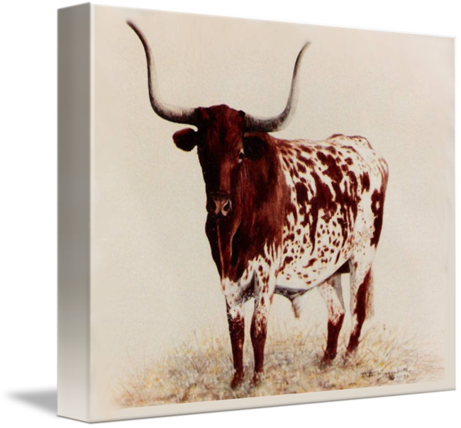 "longhorn Painting" By Didi Higginbotham, Fort Worth - Canvas (650x604), Png Download