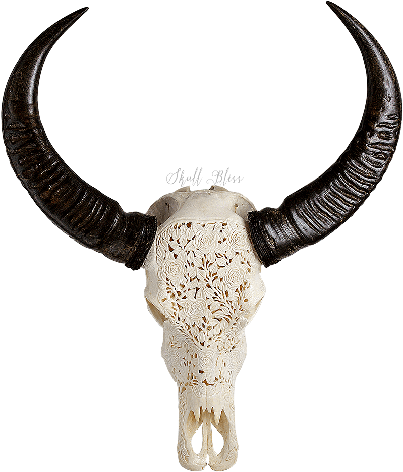 Decorative Skull Head Cow (1000x1000), Png Download
