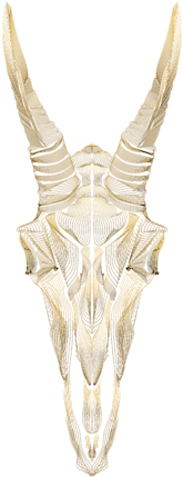 Click And Drag To Re-position The Image, If Desired - Bone (600x600), Png Download