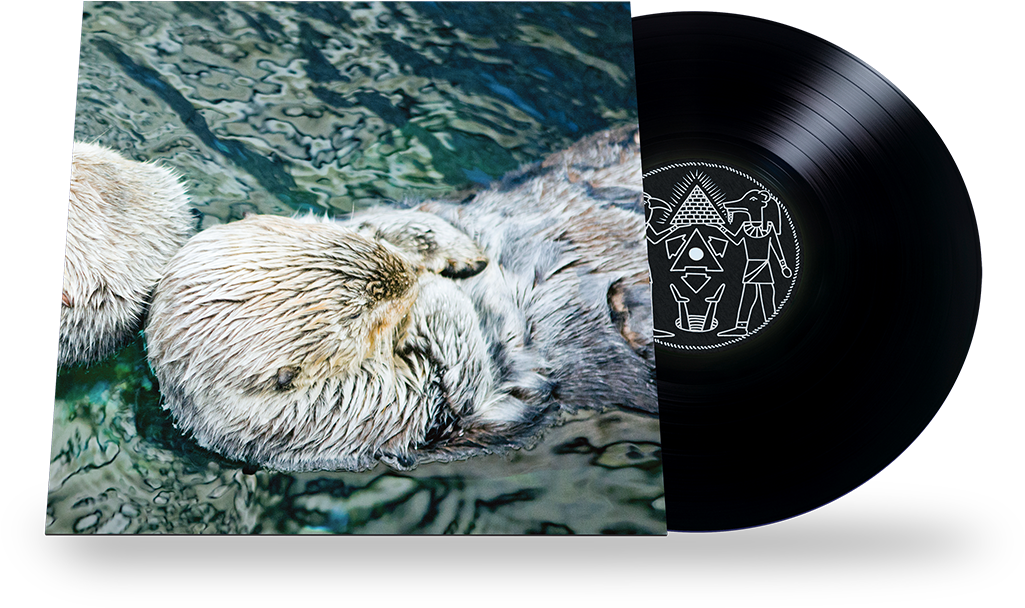 Image Of Twerk Otter 12" Vinyl - Twerk Otter Vinyl Record (1024x680), Png Download