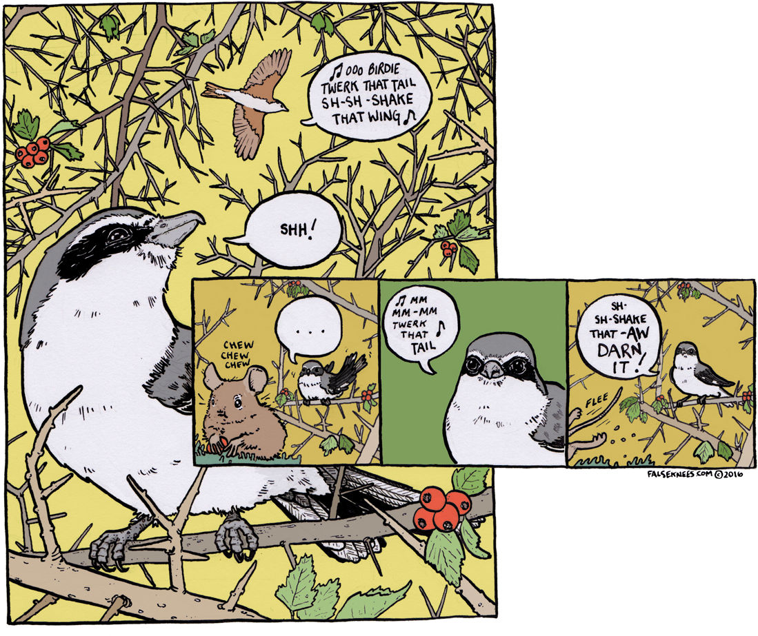 First - Falseknee Comics (1099x923), Png Download