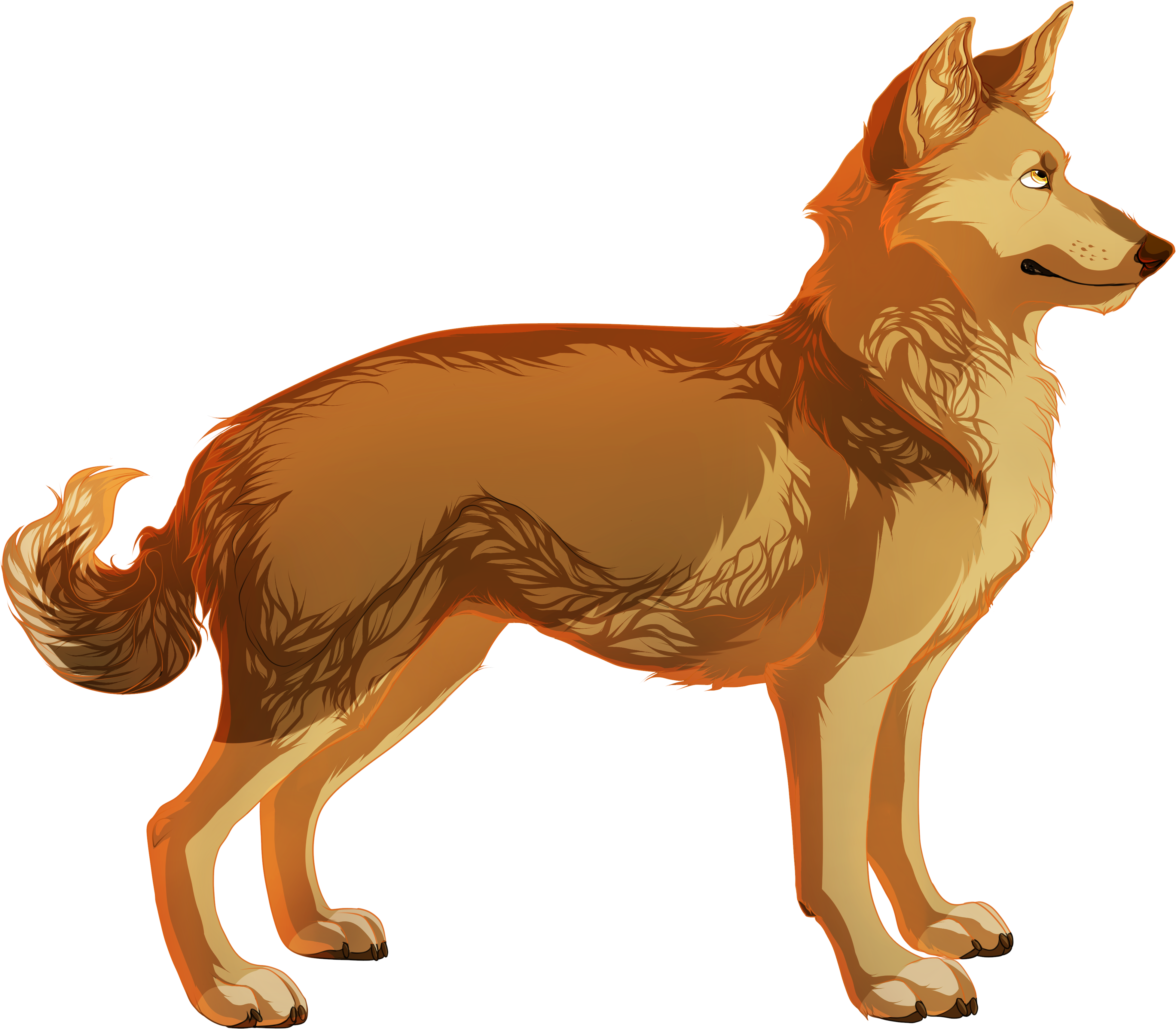 Doge - Fox (4200x3600), Png Download