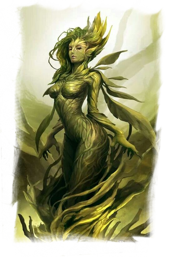 Khevrac Grumbles, He Must Be Dreaming - Pillars Of Eternity 2 Nature Godlike (564x821), Png Download
