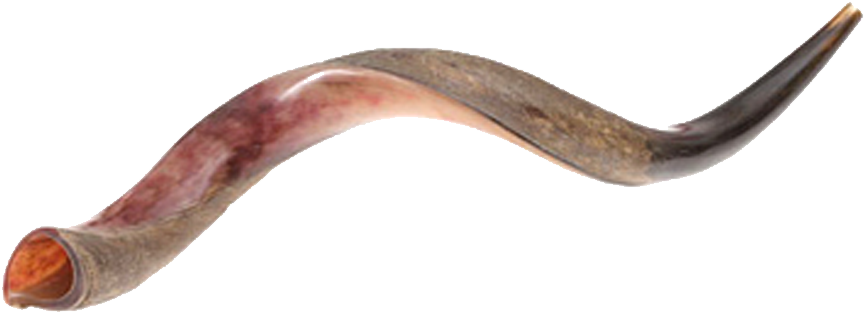 Yeminite Shofar - Yemenite Shofar (900x900), Png Download