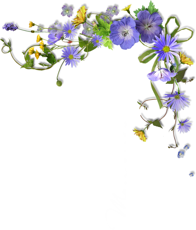 Фотки Flower Border Clipart, Page Borders, Frame Background, - Png Transparent Flower Corner Png (682x800), Png Download
