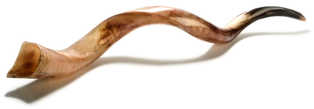Shabbat - Yom Teruah Shofar Png (1000x347), Png Download