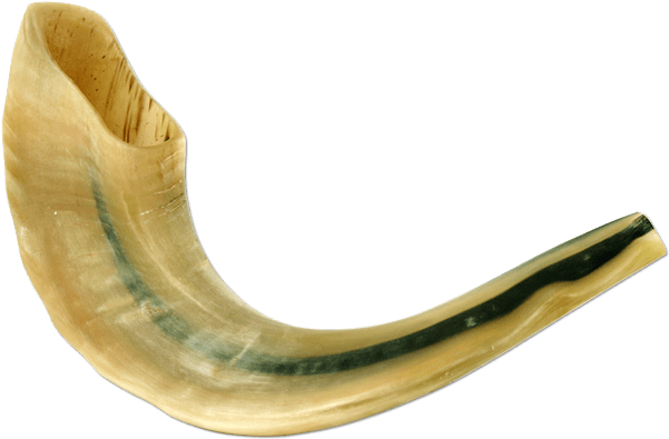 Polished Large Ram Horn Shofar - Shofar (650x650), Png Download