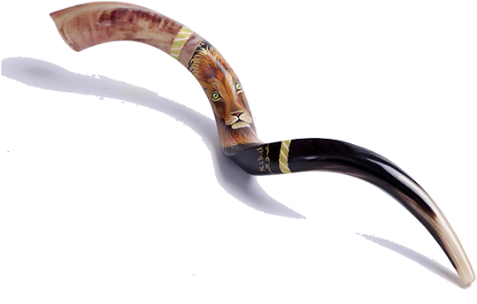 Back To Top ^ - Shofar (570x357), Png Download
