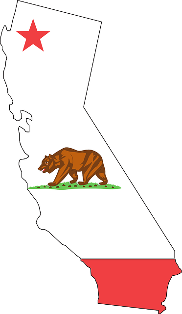 Flag, Outline, States, State, United, America - California State Flag (372x640), Png Download