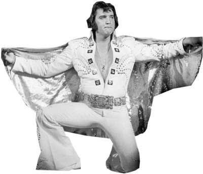 7 Oct - Happy Birthday You Hunk Of Burning Love (400x381), Png Download