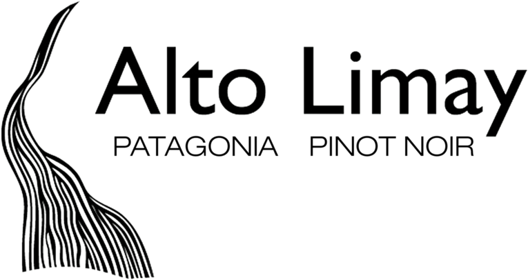 Altolimay Logo Ppn Transp - Complete Idiot's Guide To Nazi Germany (1000x591), Png Download