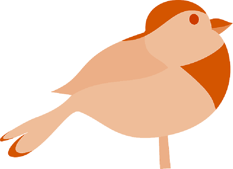 Bird Silhouette At Getdrawings Com Free For - Bird Clip Art (800x582), Png Download
