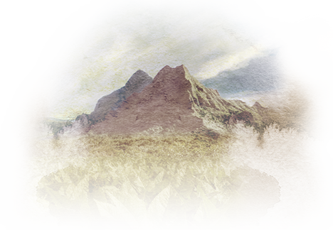 In The 1960's, The Arias Family Brought One Very Special - Painting (468x324), Png Download