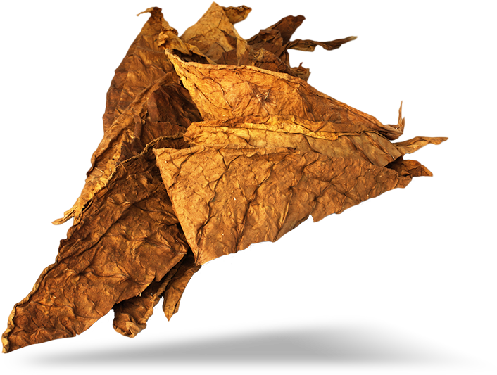 Tobacco Png (1051x755), Png Download