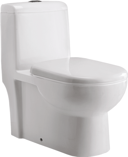 Charisma - Wall Hang Toilet Seat (435x549), Png Download