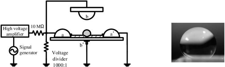 Arrangement Of The Electrodes And Droplet For Forming (850x232), Png Download
