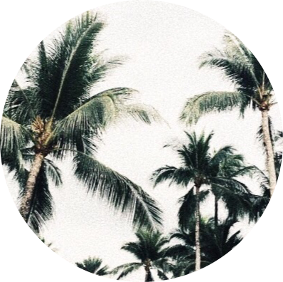 Palmeras Trees Green Circle Verde Circulo Arbol Nice - Circulo De Palmeras Png (398x396), Png Download
