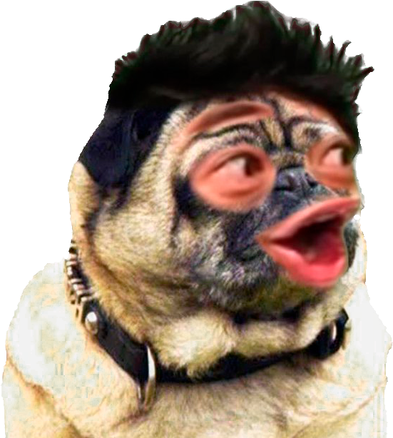 #bestnoviaeva Hashtag On Twitter - Arabian Camel (600x619), Png Download