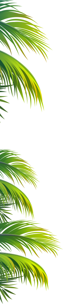 Hazlo Tropical Hazlo Tropical - Lawn (205x983), Png Download