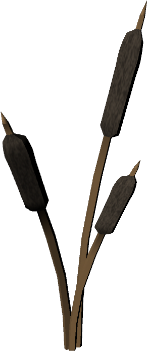 Cattails Plant - Blog (1080x720), Png Download