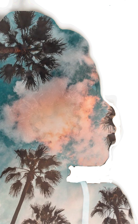 Fondos De Pantalla Palmeras (480x777), Png Download