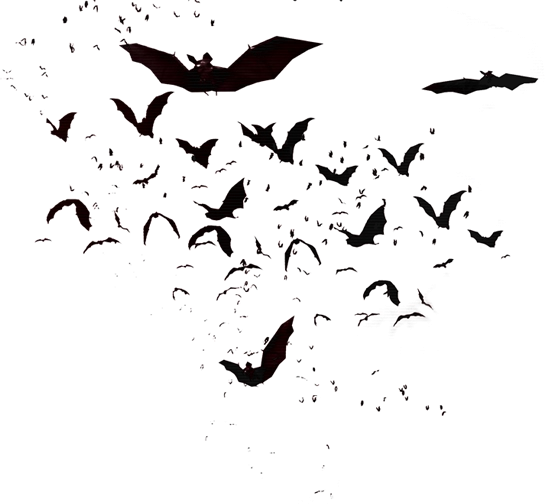 Clip Free Library Pachislot Ii Artwork Crypt Com A - Bats Transparent (545x504), Png Download