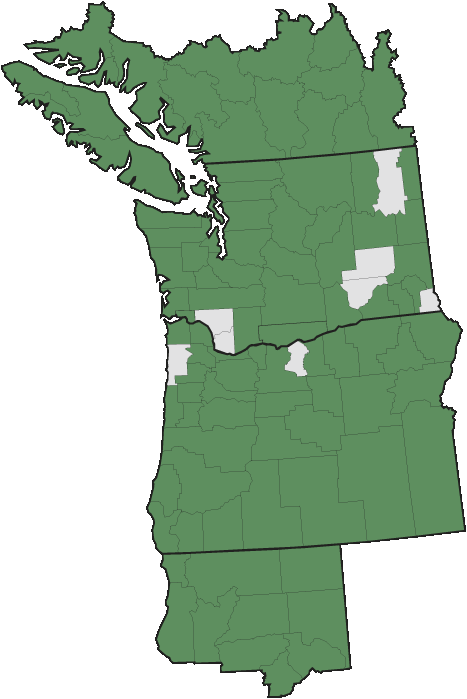 More Information - - Pacific Northwest English (467x699), Png Download