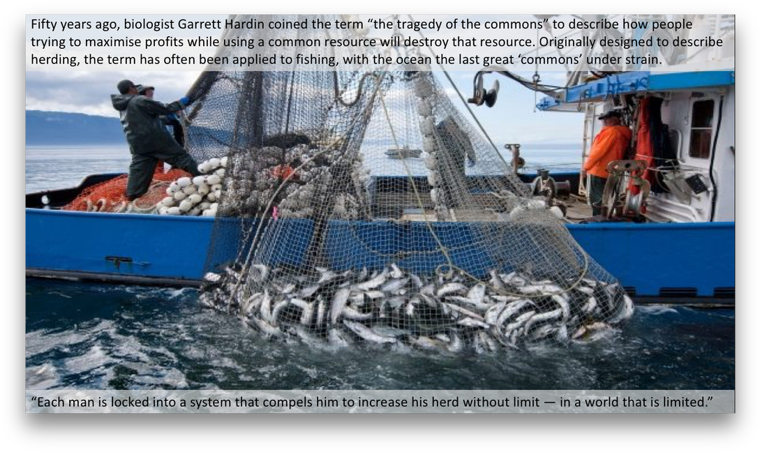Picture - Commercial Ocean Fishing (1100x655), Png Download
